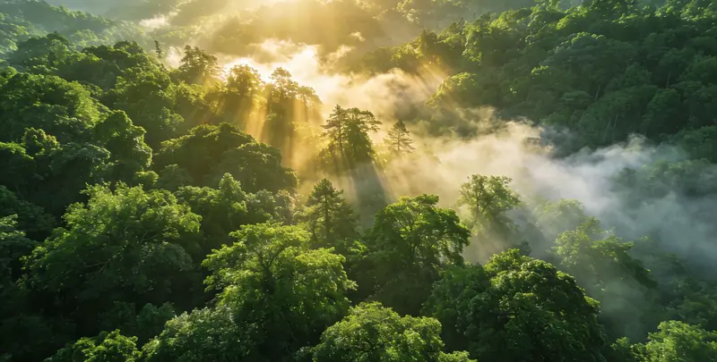 咸阳肺癌靶向39基因检测及PDL122C3表达检测套餐（组织）检测图1