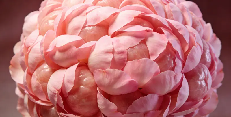 咸阳乳腺癌21基因mRNA表达分析检测图1